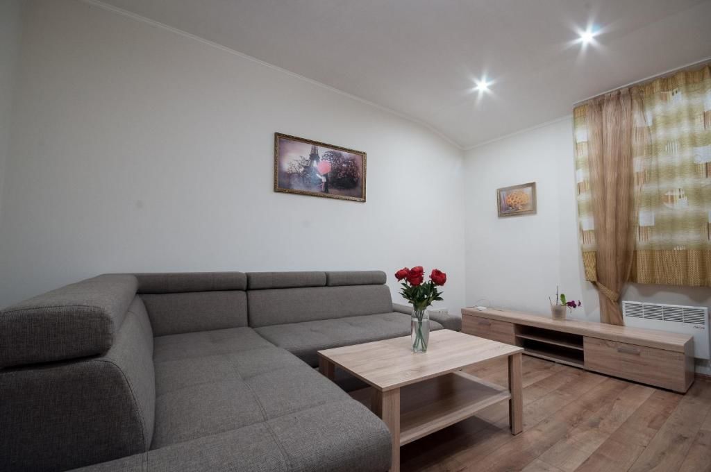Апартаменты Wonderful flat on city center (Mukachivska 4/19) Ужгород