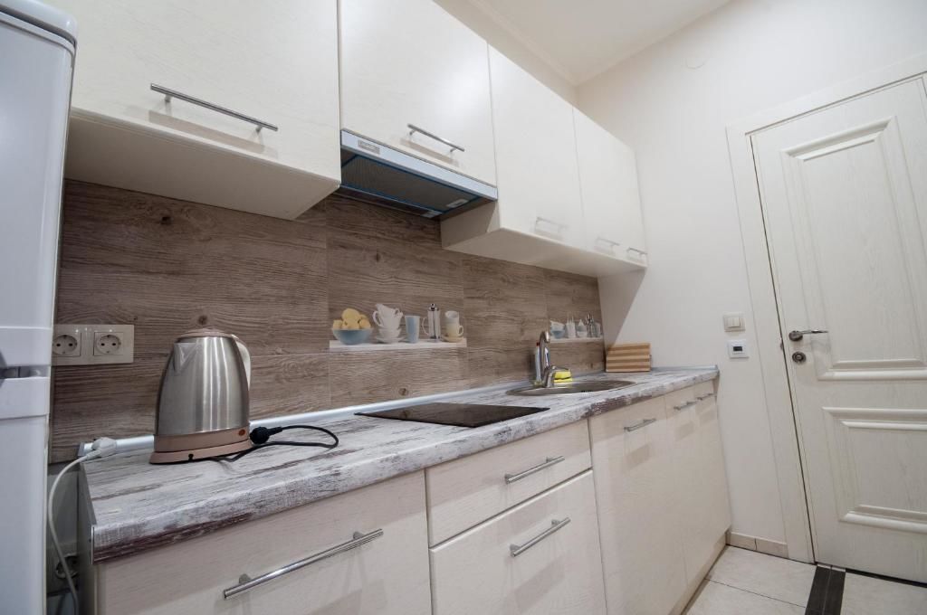 Апартаменты Wonderful flat on city center (Mukachivska 4/19) Ужгород