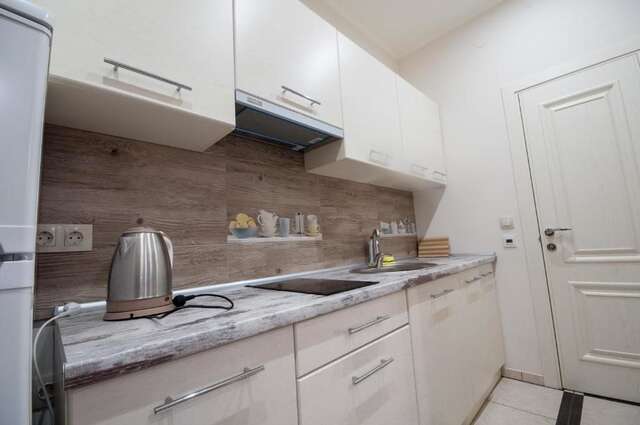 Апартаменты Wonderful flat on city center (Mukachivska 4/19) Ужгород-19