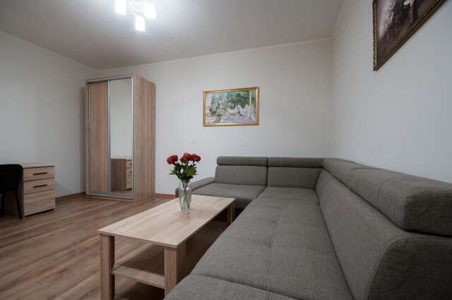 Апартаменты Wonderful flat on city center (Mukachivska 4/19) Ужгород-6