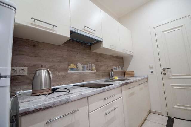 Апартаменты Wonderful flat on city center (Mukachivska 4/19) Ужгород-8